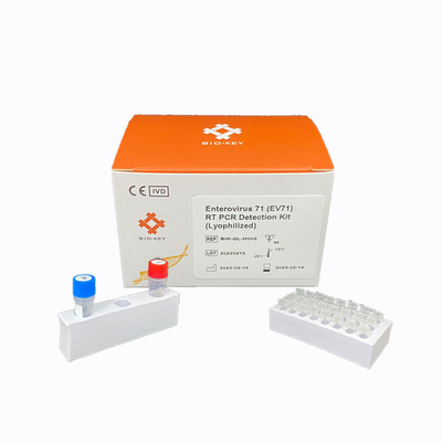 Lyophilisierte schnelle Test-Ausrüstung Funktelegrafie PCR-Enterovirus-71 DNA-Entdeckungs-Ausrüstung