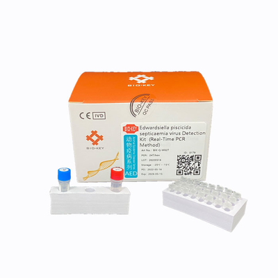 Blutvergiftungs-Virus Funktelegrafie PCR-Ausrüstung EDW.P-Aquakultur-Krankheitserreger Edwardsiella Piscicida