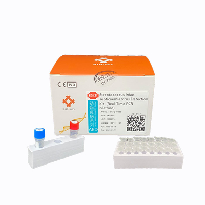 Leuchtstoffsonden-Streptokokke Test-Kit Ct 38 PCR-Aquakultur-Ausrüstung