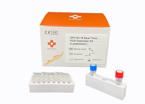 Realzeit-Taqman-Sonden-Probe Virus HPV PCR Kit Dectect High Risk Genotyping HPV