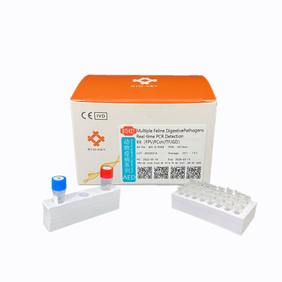 Molekulare Diagnose FCoV katzenartige Cat Test Kit Giardia Feline DNA-Test-Ausrüstung