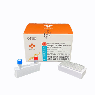 Test-Sonden-Ausrüstungen Cat Test Chlamydia Fluorescence PCR katzenartige Herpesvirus