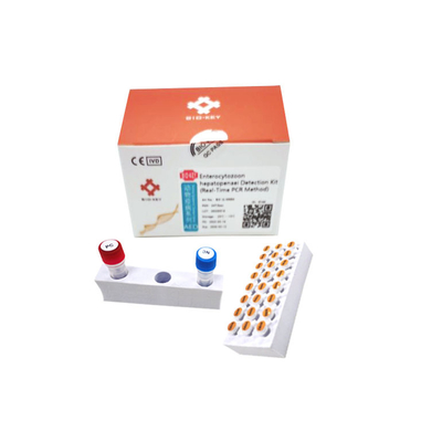 Aquakultur-Test-Ausrüstung EHP Taqman QPCR Kit Quarantine Enterocytozoon Hepatopenaei