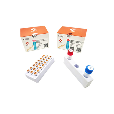 Realzeitleptospirose-schnelle Test-Kit Taqman Probe Toxoplasma Test-Ausrüstung