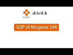 POCT Echtzeit-Quantitative PCR-Maschine 2 / 4 Kanäle