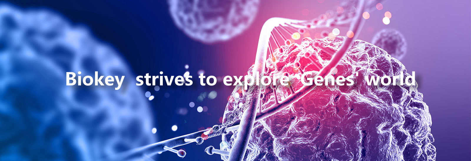 Qualität Funktelegrafie-qPCR Maschine Fabrik