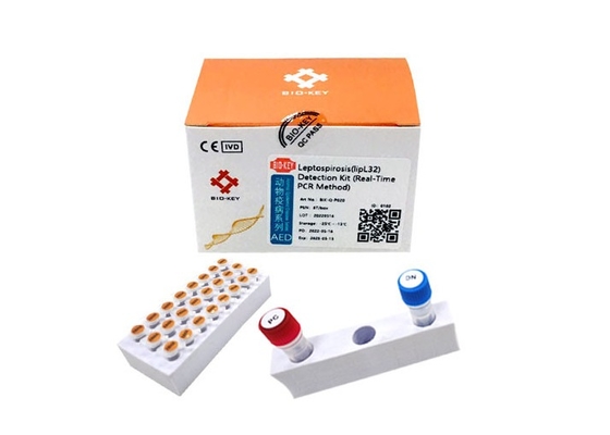 Hundetest-Ausrüstung DNA-Polymerase Leptospira-Test-Fluoreszenz PCR CLep Hunde-