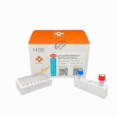 Echtzeit-PCR-Diagnostik-Kit