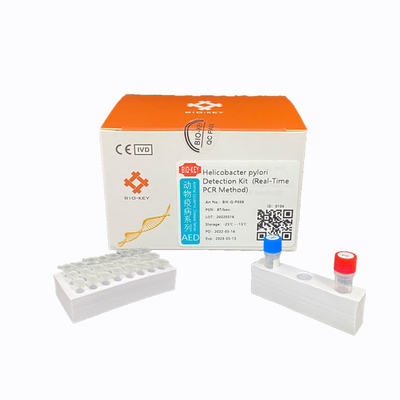 Pförtner-Entdeckungs-Nukleinsäure-Leuchtstoffsonde Pferdestärken-katzenartige Cat Test Kit PCR-Katzen-H