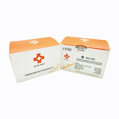 Atemwegssyncytialer Virus Influenza B / A RT PCR-Test-Kit