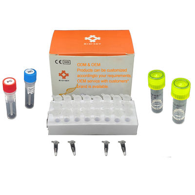 Fluoreszierende quantitative PCR-Diagnostik-Kit Molekulare Detektion von Wasserpathogenen 48 Tests/Kit Diagnostik