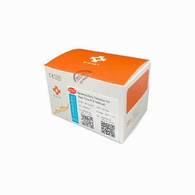 Echtzeit-PCR-Diagnostik-Kit