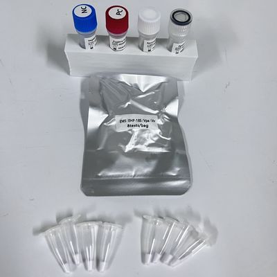 Garnelengewebe Vpa Vibrio Parahaemolyticus Echtzeit-PCR-Erkennungskit