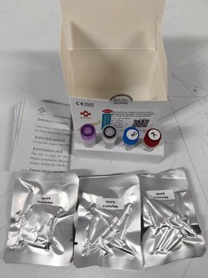NHPB Wasserpathogenen Nukleinsäure Fluoreszenz Quantitative Pcr Taqman Testkit