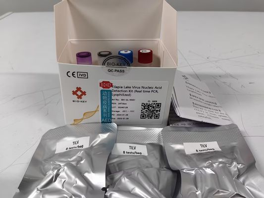Tilapia-See-Fisch-Virus-Nukleinsäure-Detektions-Kit in Echtzeit PCR Lyophilisiert