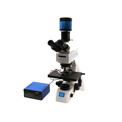 Grobes / Mikrokoaxialfokussiertes Biologisches Mikroskop B70F