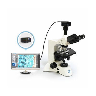 30° geneigte Drei-Auge-Zylinder-Vorstehmikroskop B60