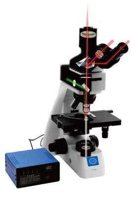 Grobes / Mikrokoaxialfokussiertes Biologisches Mikroskop B70F