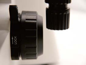 Grobes / Mikrokoaxialfokussiertes Biologisches Mikroskop B70F