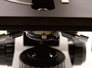 Grobes / Mikrokoaxialfokussiertes Biologisches Mikroskop B70F