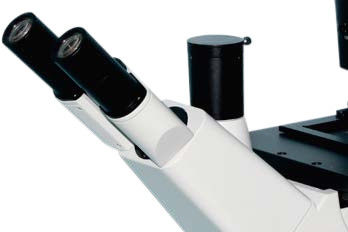 5-Positions-Nasenstück-umgekehrtes Biologisches Mikroskop B50i