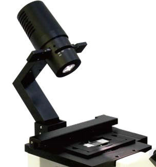 Stromförmiges Design B80iF Umgekehrtes Biologisches Mikroskop zur Beobachtung von Zellgewebe