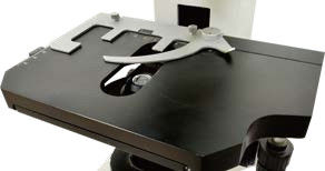 30° geneigte Drei-Auge-Zylinder-Vorstehmikroskop B60