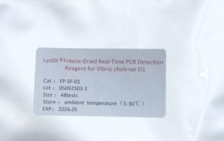LyoDt® Gefriergetrocknetes Pulver Real-Time PCR Nachweisreagenz für Vibrio cholerae O1 - Keine Kühlkette erforderlich & Einzeltest vorgedost
