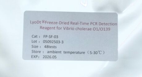LyoDt® Gefriergetrocknetes Echtzeit-PCR-Nachweisreagenz für Vibrio cholerae O1/O139 - Keine Kühlkette erforderlich & einzeln vorab abgefüllt