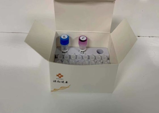 Fluoreszierende quantitative PCR-Diagnostik-Kit Molekulare Detektion von Wasserpathogenen 48 Tests/Kit Diagnostik