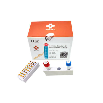 Wasserprobe-Vibrio Harveyi-Aquakultur-Test-Kit Nucleic Acid Real Time PCR